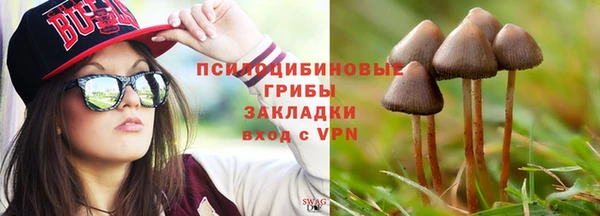 бошки Гусев