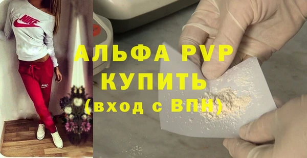 шишки Гусь-Хрустальный