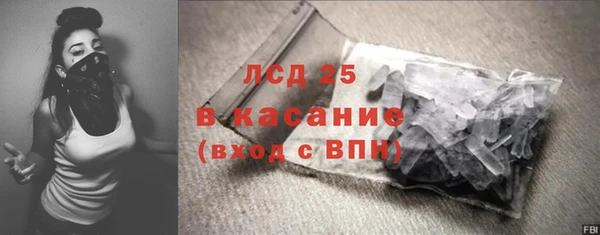 шишки Гусь-Хрустальный