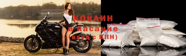 шишки Гусь-Хрустальный