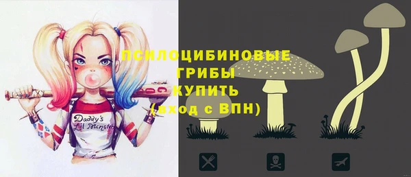 бошки Гусев