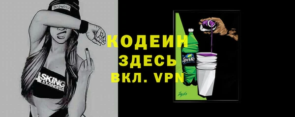 шишки Гусь-Хрустальный