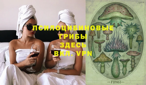 бошки Гусев