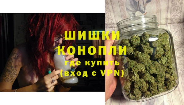 шишки Гусь-Хрустальный