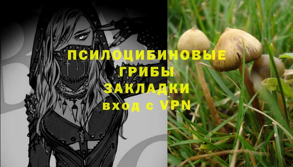бошки Гусев
