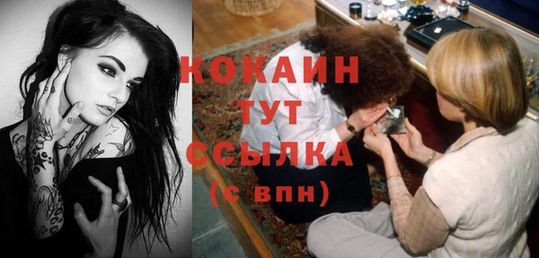 шишки Гусь-Хрустальный
