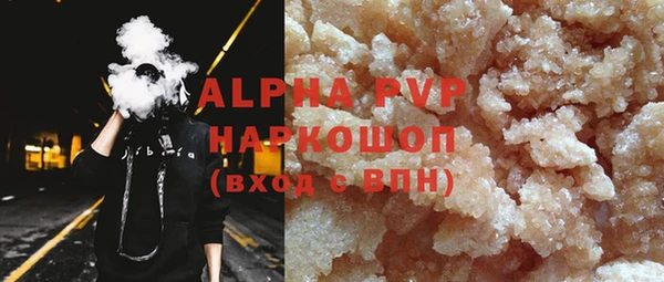 бошки Гусев