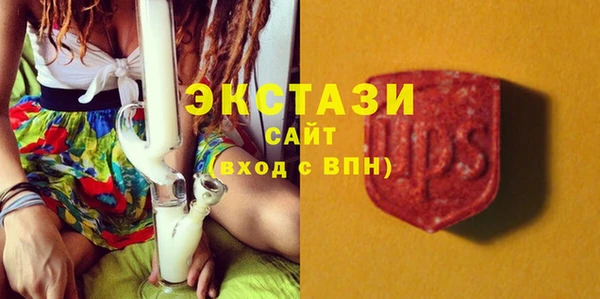 шишки Гусь-Хрустальный