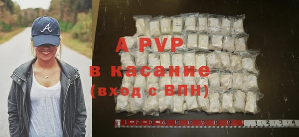 шишки Гусь-Хрустальный