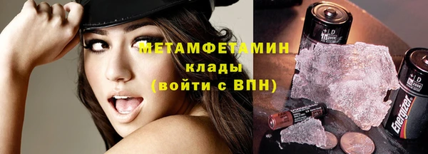 шишки Гусь-Хрустальный