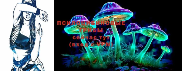 бошки Гусев