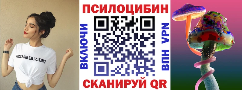 ОМГ ОМГ ссылка  Новая Ладога  Галлюциногенные грибы Psilocybine cubensis 