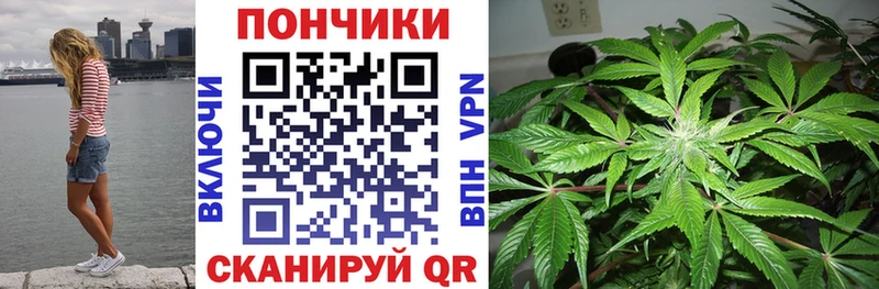 blacksprut ССЫЛКА где продают Новая Ладога Шишки марихуана AK-47